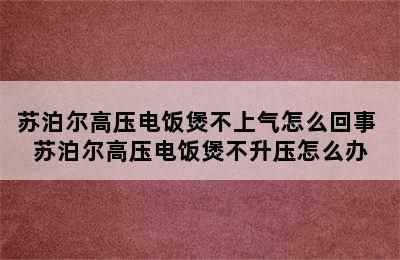 苏泊尔高压电饭煲不上气怎么回事 苏泊尔高压电饭煲不升压怎么办